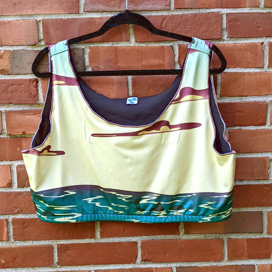 Champ Sports Bras